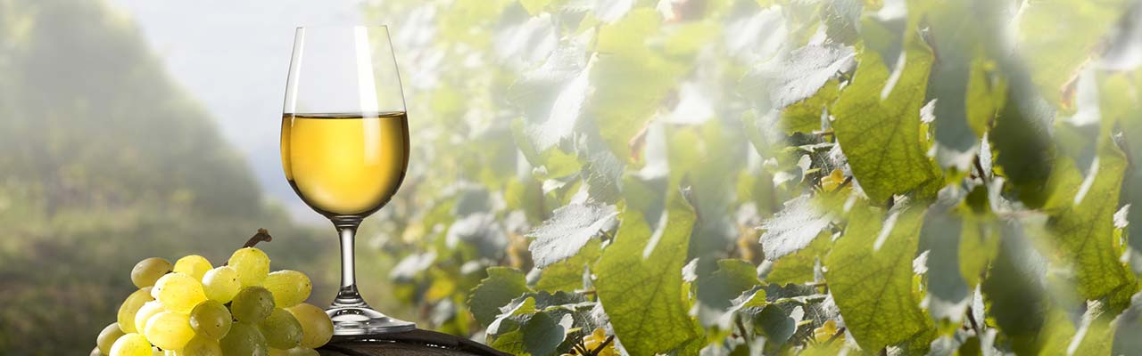 Weingastronomischer Urlaub im Agriturismo