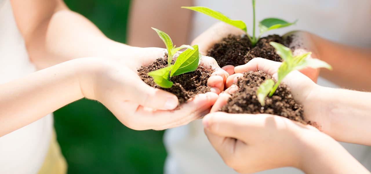 Bio-Bauernhöfe in der Toskana