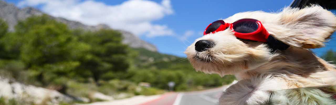 Umbrien Bauernhäuser mit Haustieren erlaubt