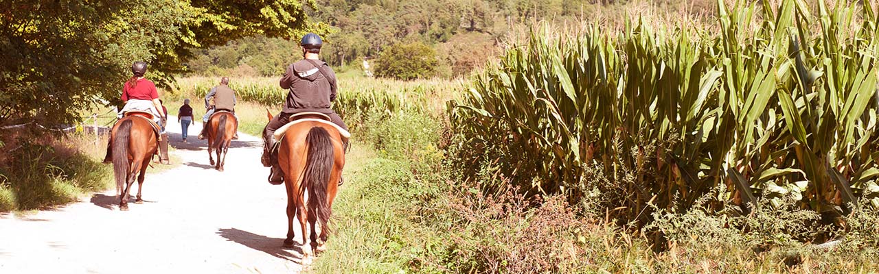 Boerderijen in Toscane om de Horse Trail te ontdekken