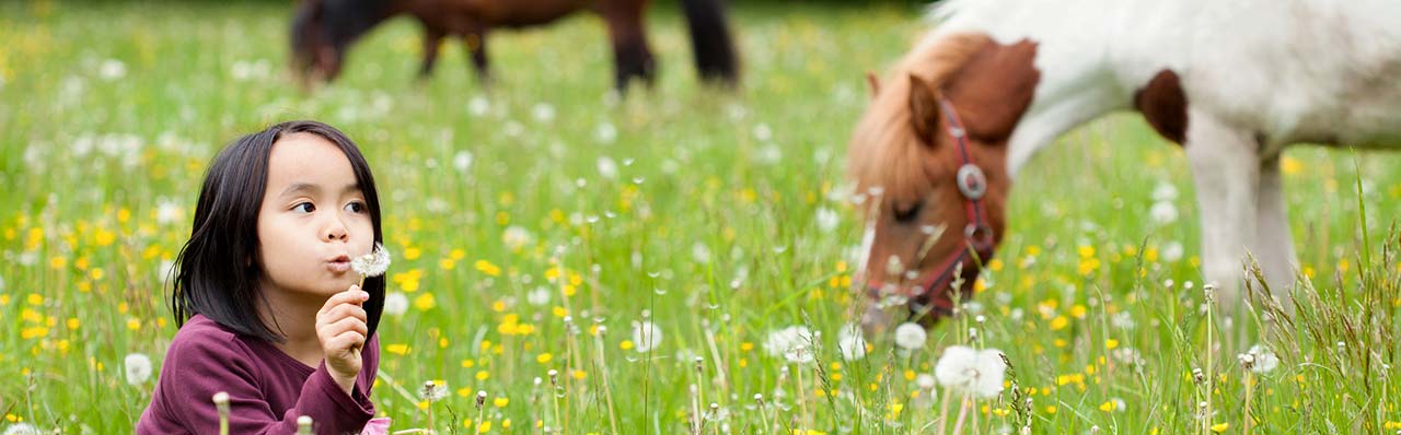 Agriturismo in Umbrien mit pädagogischem Bauernhof