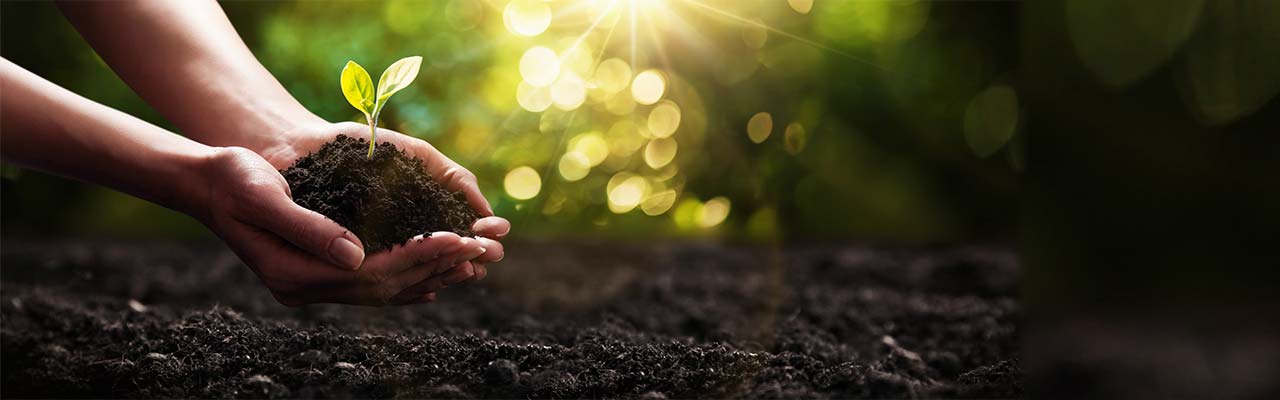 Urlaub im nachhaltigen Agriturismo