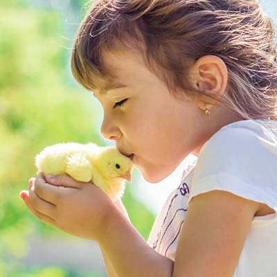 Familienurlaub: Bauernhaus mit Tieren für Kinder