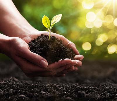 Urlaub im nachhaltigen Agriturismo in Italien